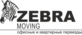 zebra-moving